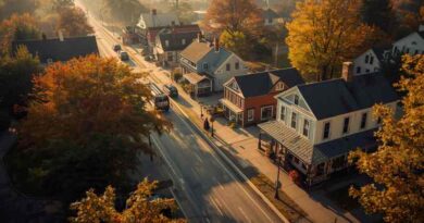 Sarah Chesson Brewster NY